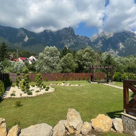 Casuta Doi Ponei Vila Buşteni Exterior foto